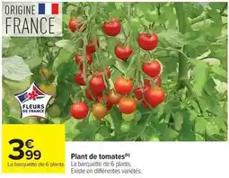 Carrefour Drive Plant de tomates offre