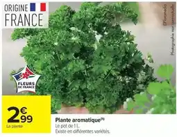 Carrefour Drive Plante aromatique offre