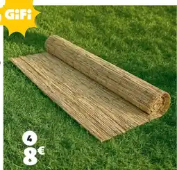 Gifi CANISSE ROSEAU offre