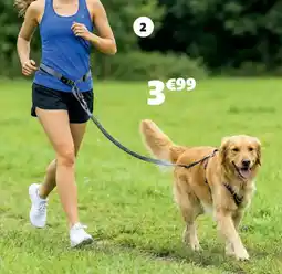 Gifi LAISSE TRACTION JOGGING offre