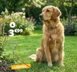 Gifi ENSEMBLE PIQUET SPIRALE POUR FIXATION AU SOL AVEC LAISSE offre