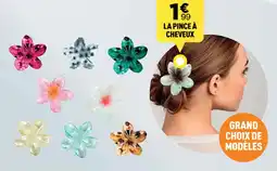 Centrakor LA PINCE À CHEVEUX offre