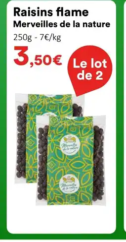 Hmarket Raisins flame Merveilles de la nature offre