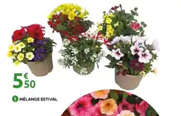 Mr Bricolage Mélange estival offre