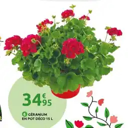 Mr Bricolage Géranium en pot déco offre