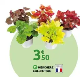 Mr Bricolage Heuchere france collection offre