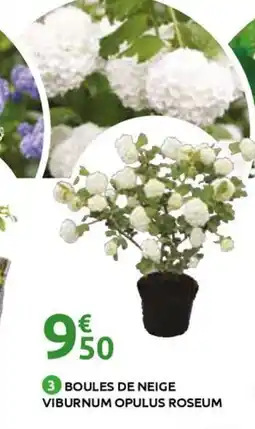 Mr Bricolage Boules de neige viburnum opulus roseum offre