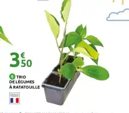 Mr Bricolage Trio de légumes à ratatouille offre