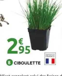 Mr Bricolage Ciboulette offre