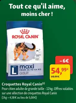 Maxi Zoo ROYAL CANIN Croquettes offre