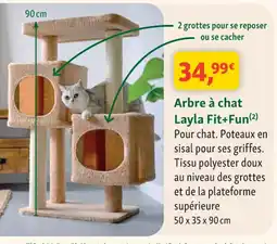 Maxi Zoo Arbre à chat Layla Fit+Fun offre