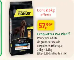 Maxi Zoo PRO PLAN Croquettes offre