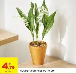 Intermarché Contact Muguet 3 griffes pot offre