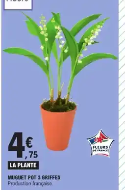 E.Leclerc Express Muguet pot 3 griffes offre