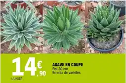 E.Leclerc AGAVE EN COUPE offre