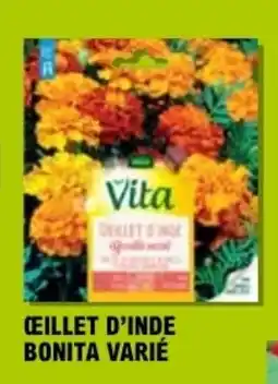 E.Leclerc ŒILLET D'INDE BONITA VARIÉ offre