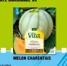 E.Leclerc MELON CHARENTAIS offre