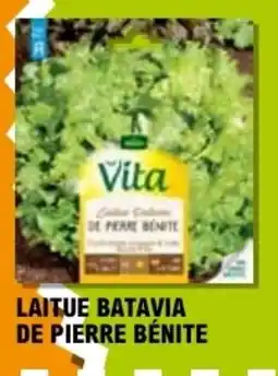 E.Leclerc LAITUE BATAVIA DE PIERRE BÉNITE offre