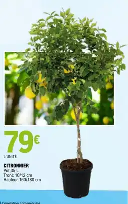 E.Leclerc CITRONNIER offre