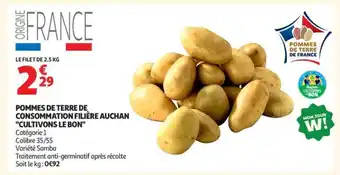 POMMES DE TERRE DE CONSOMMATION FILIÈRE AUCHAN CULTIVONS LE BON