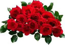 Auchan Sans marque bouquet 15 roses offre