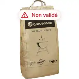 Auchan Gardenstar charbon de bois offre