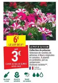 Gamm vert Mars - collection de pétunias offre