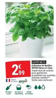Gamm vert Invivo - collection de basilles nouson on seème offre