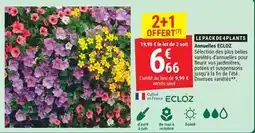 Gamm vert Ecloz - amnelles eco2z offre