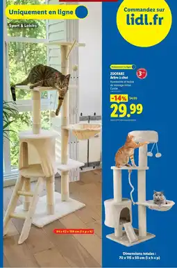 Lidl Zoofari - roofball prix 4 + 1 ud offre
