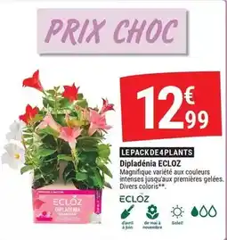 Gamm vert Ecloz - dialadenia offre