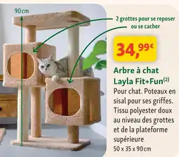 Maxi Zoo Fit +fun arbre à chat layla offre