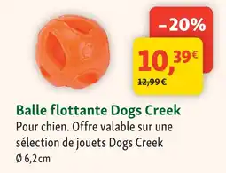 Maxi Zoo Dogs creek balle flottante offre