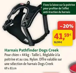 Maxi Zoo Dogs creek harnais pathfinder offre