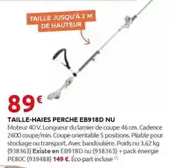 Rural Master Taille-haies perche eb918d nu offre