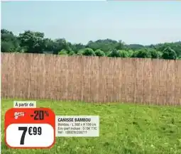 La Foir'Fouille Canisse bambou offre