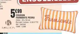 La Foir'Fouille Coussin farniente pedro offre