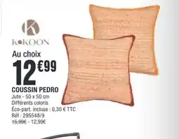 La Foir'Fouille Coussin pedro offre