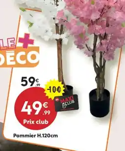 Maxi Bazar Pommier offre