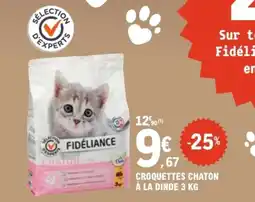 E.Leclerc Brico CROQUETTES CHATON À LA DINDE offre