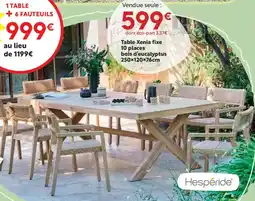 Maxi Bazar Table Xenia fixe 10 places bois d'eucalyptus offre