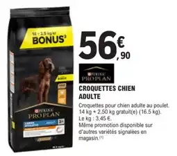 E.Leclerc Brico CROQUETTES CHIEN ADULTE offre
