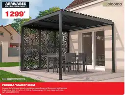 Brico Dépôt PERGOLA SALIXA 3X3M offre