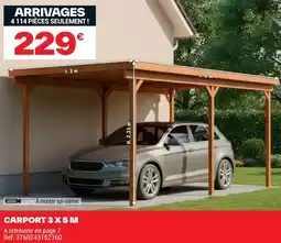 Brico Dépôt CARPORT 3X5M offre
