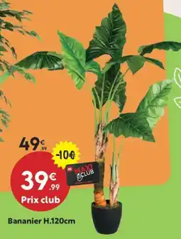 Maxi Bazar Bananier offre