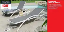 Brico Dépôt LOT 2 BAINS DE SOLEIL AZALIS offre