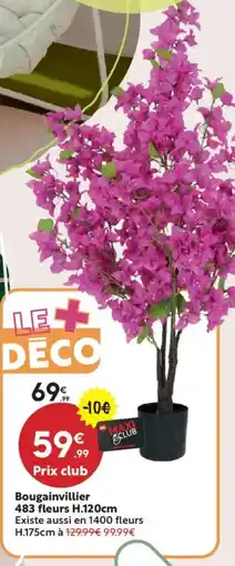 Maxi Bazar Bougainvillier 483 fleurs offre