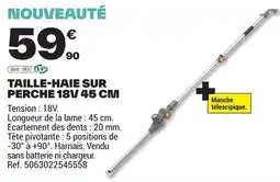 Brico Dépôt TAILLE-HAIE SUR PERCHE 18V offre