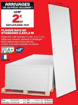 Brico Dépôt PLAQUE BA13 NF STANDARD offre