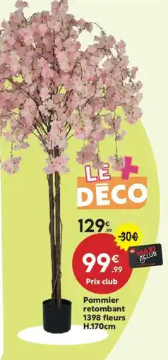 Maxi Bazar Pommier retombant 1398 fleurs offre